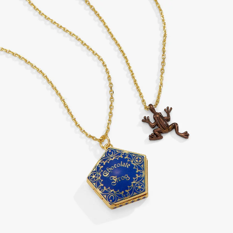 Harry Potter™ Chocolate Frog Necklace Set